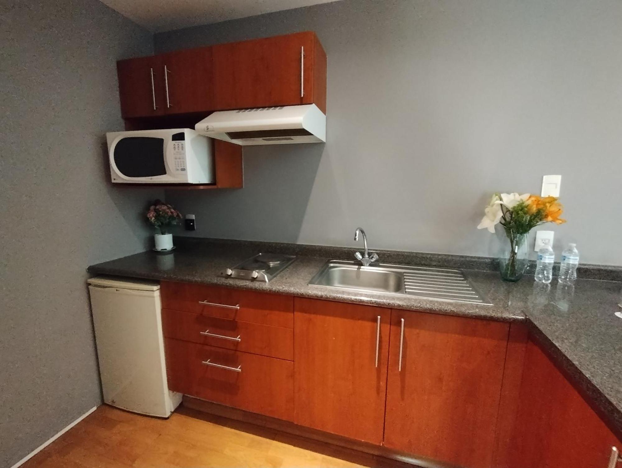Residence L' Heritage Aristoteles 225 By Bluebay Mexico City Ngoại thất bức ảnh